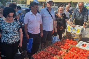 NOVI PROTEST povrtara zbog niske otkupne cene paradajza