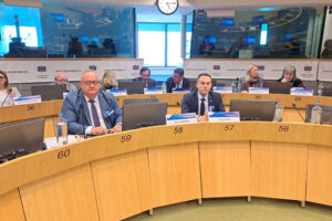 Brisel: Gradonačelnik Leskovca dr Goran Cvetanović na sednici Zajedničkog konsultativnog odbora