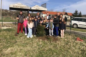 Gornja Jajina: U OŠ „Nikola Skobaljić“ posađeno 14 četinara-smrča