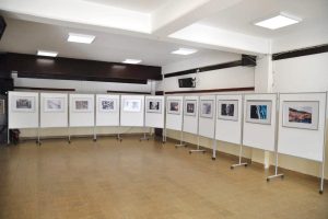 Jelena Đokić, profesorica: Izložba fotografija