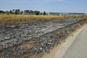 Leskovac: STOP paljenju vatre na otvorenom prostoru