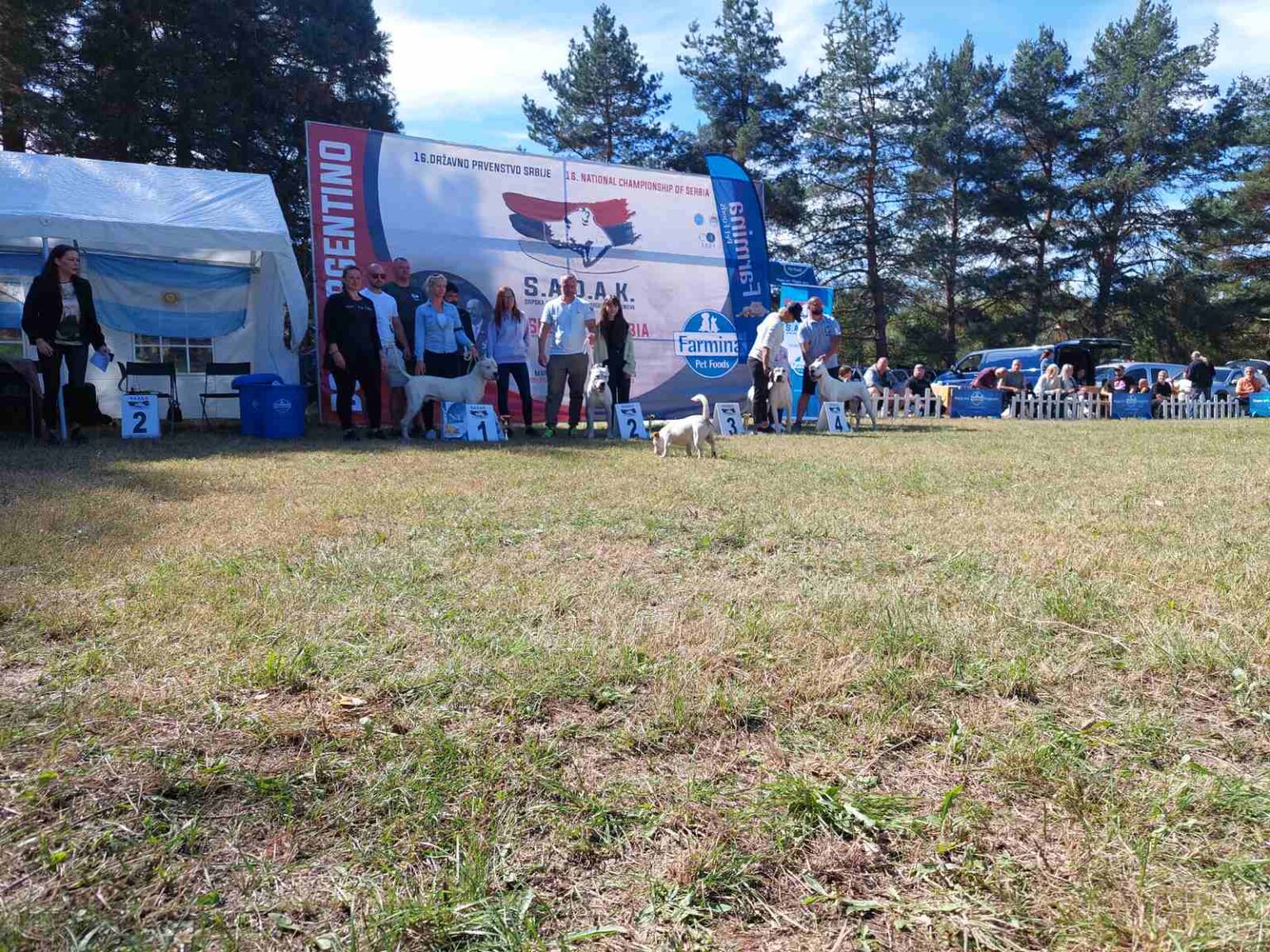 Leskovac: Državno prvenstvo i međunarodna izložba pasa dogo argentino – Velika Kopašnica
