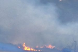 Leskovac: Požar na otvorenom u okolini više sela