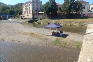 Jadranka Stamenković: Prvi odlazak na „Vinski bal“ i Vlasina bila „pogolema“