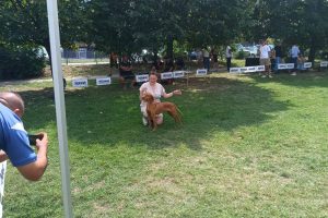 Izložba pasa u organizaciji Kinološkog društva „Leskovac“
