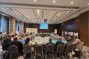 Gradonačelnik Leskovca dr Goran Cvetanović učesnik sastanka generalnih sekretara i direktora Saveta evropskih opština i regiona