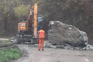 Ljiljana Gligorijević, učiteljica i pesnikinja: „Kruh sa sedam kora…“