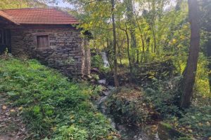 Leskovac: Vučjanka – kanjon netaknute prirode i ponos juga Srbije
