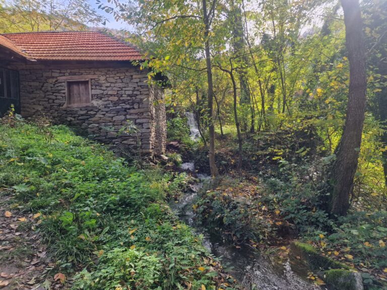Leskovac: Vučjanka – kanjon netaknute prirode i ponos juga Srbije Leskovac: Vučjanka – kanjon netaknute prirode i ponos juga Srbije