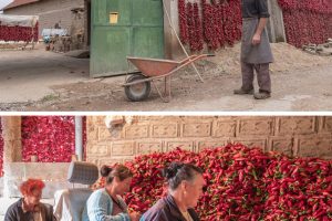 Leskovac – Donja Lokošnica jedino je mesto u Srbiji gde uspeva specijalna začinska paprika poznata pod imenom nizača