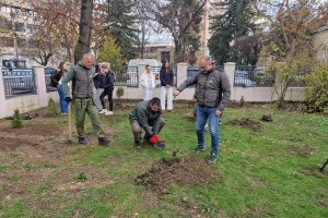 Dvorište Osnovne škole „Svetorar Marković“ u Leskovcu dobilo nove sadnice