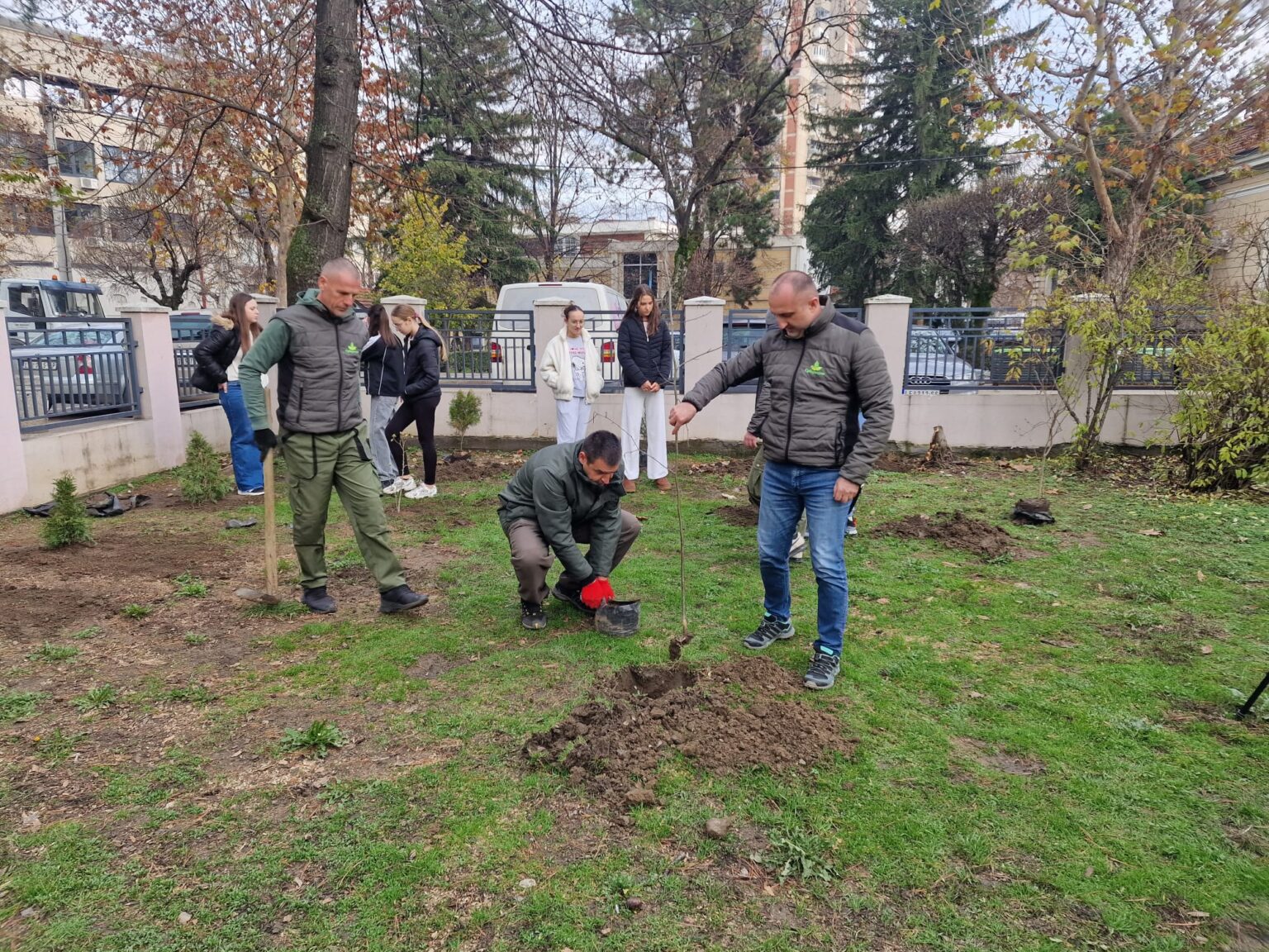 Dvorište Osnovne škole „Svetorar Marković“ u Leskovcu dobilo nove sadnice