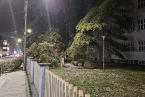 Leskovac: Stablo drveta iz dvorišta Gimnazije palo na tretoar