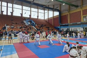 Leskovac: Otvoren 26. Međunarodni karate turnir „Ipon“