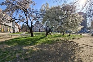 Leskovac: Priroda se polako budi, dolazi najlepše godišnje doba