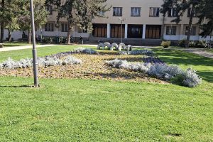 Treće doba u zavičaju: Ljudi, vreme, događaji