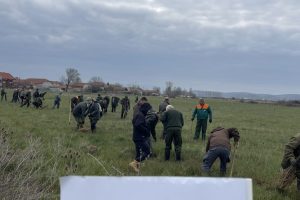 Leskovac: Pošumljavanje povodom Međunarodnog dana šuma