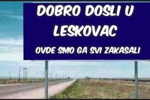 Hermina Zlatanović: „I ja sam imala muke sa padežima…“