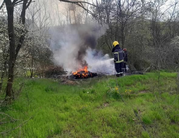 Leskovac – Karađorđevac: Požar, gorelo rastenje i deponija smeća