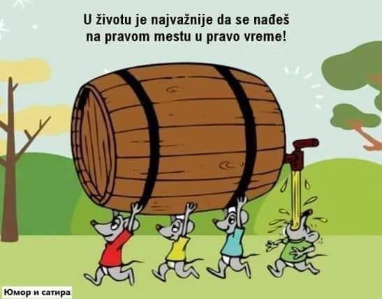 Leskovac – Mira Đermanović, spisateljica: „Ožiljak“ Leskovac – Mira Đermanović, spisateljica: „Ožiljak“