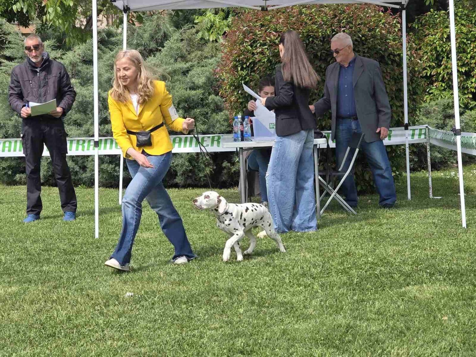 Leskovac: Nacionalna izložba pasa svih rasa iz zemlje i regiona