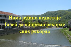Aforizam dana: Galeb