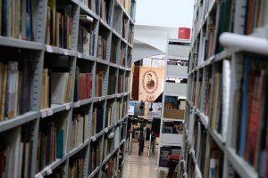 Leskovac: Dan Narodne biblioteke „Radoje Domanović“ od 8 – 12. juna