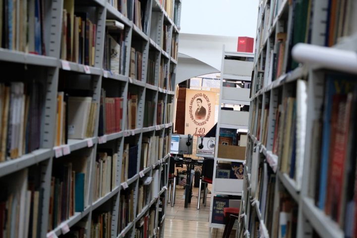 Leskovac: Dan Narodne biblioteke „Radoje Domanović“ od 8 – 12. juna