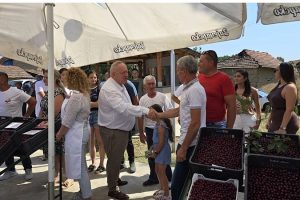 Leskovac: Jedanaesta manifestacija Dani višnje, Drvodelja prvi put domaćin