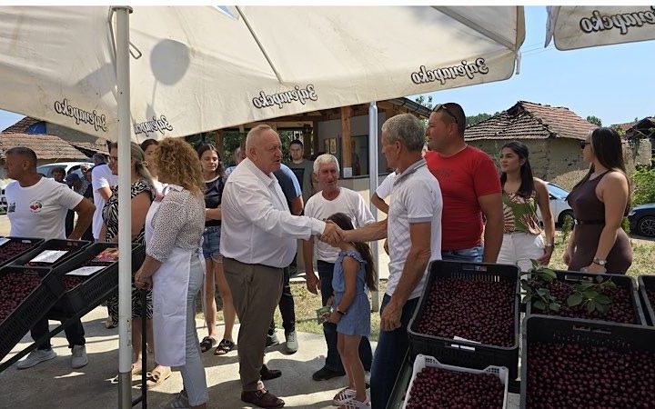 Leskovac: Jedanaesta manifestacija Dani višnje, Drvodelja prvi put domaćin