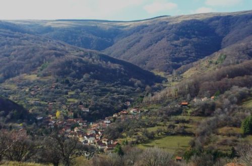 Leskovac: Kako do kuće na selu i ko može da podnese zahtev!? Leskovac: Kako do kuće na selu i ko može da podnese zahtev!?