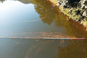 Drugi pišu: Vlasotince – Šta se događa u jednom od najlepših gradova u Srbiji – neodgovornost lokalne samouprave