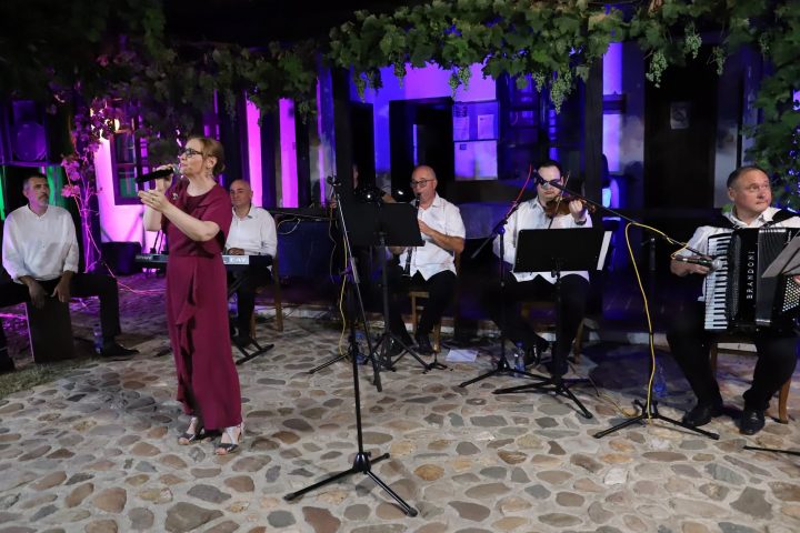 Vlasotince: Izuzetan koncert Ivane Tasić, solistkinje RTS-a, profesor Pedagoškog fakulteta u Vranju